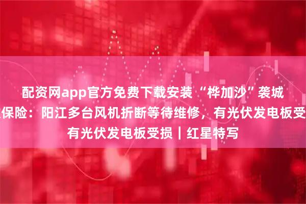 配资网app官方免费下载安装 “桦加沙”袭城触发巨灾指数保险：阳江多台风机折断等待维修，有光伏发电板受损｜红星特写