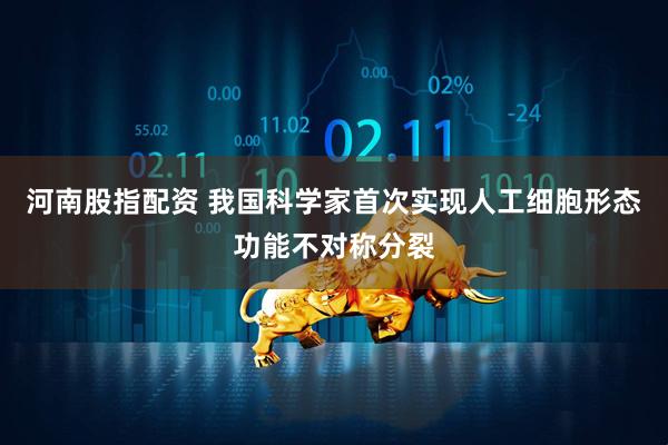 河南股指配资 我国科学家首次实现人工细胞形态功能不对称分裂